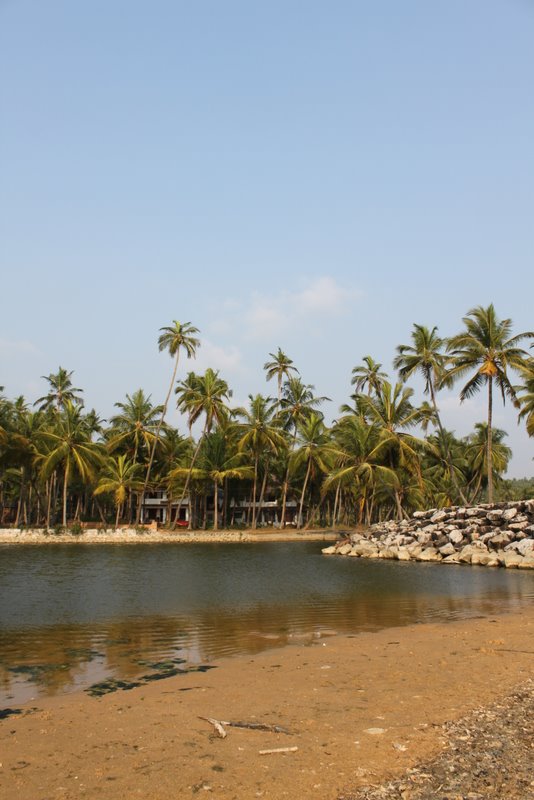 India 2010 - Kerala - Kannur - Costa Malabari - Kannur Beach Guest House